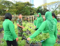 Panen Ke-2 Urban Farming, Kodim Jakpus Berkebun Diatas Aspal