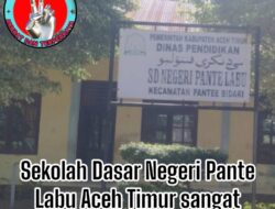 Miris SDN Pante labu tak layak untuk proses belajar mengajar Dinas pendidikan dan Pihak pemerintah cuex